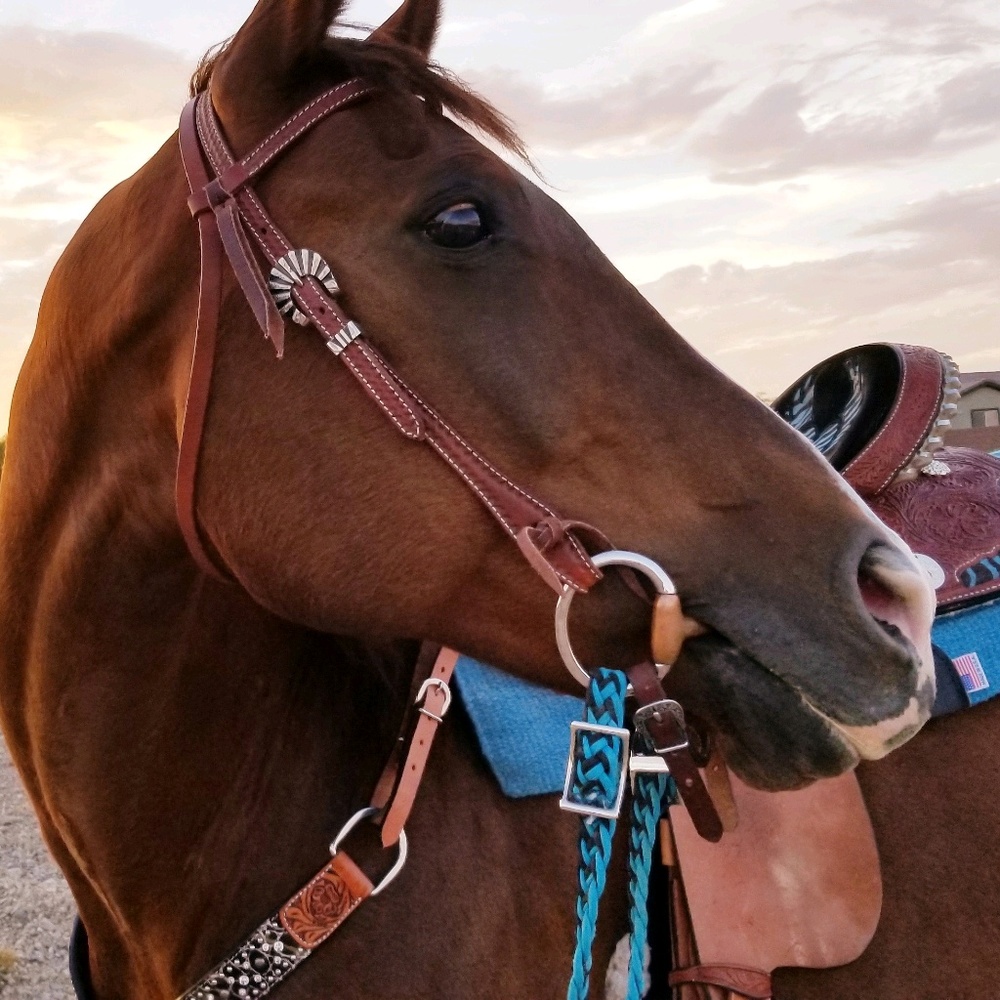 Meet your Posher, Melissa